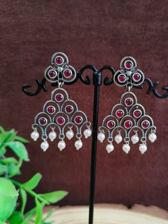 Oxidised Earrings AJP2026-49