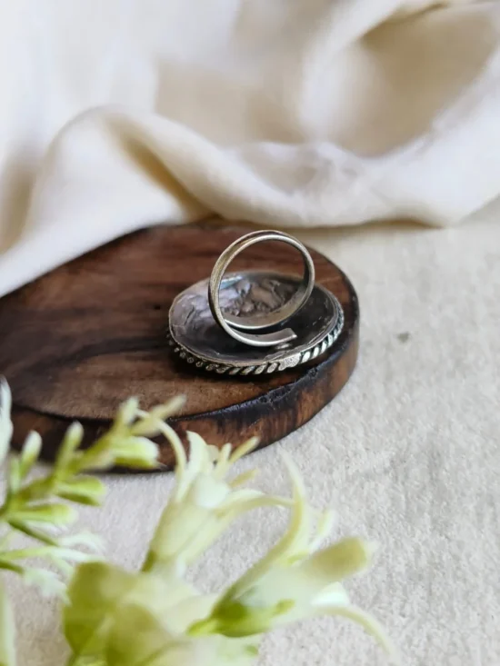 Oxidised Ring AJP2026-168