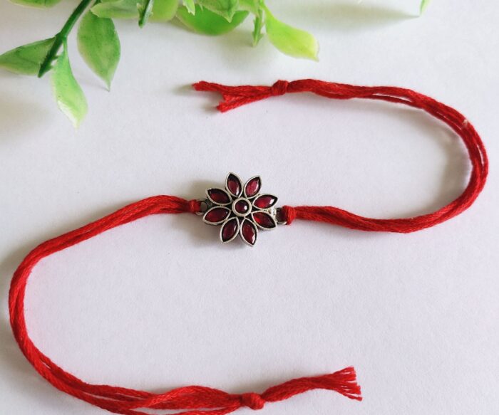 Pushpak Rakhi AJP2024-197