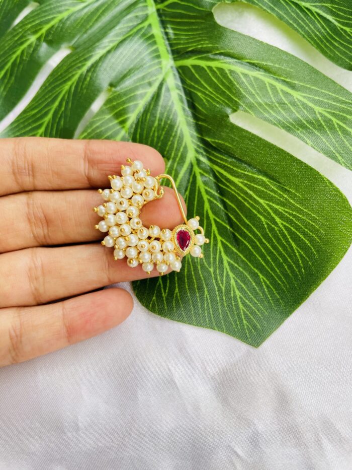 Gaahu Motti Nath AJP2024-209