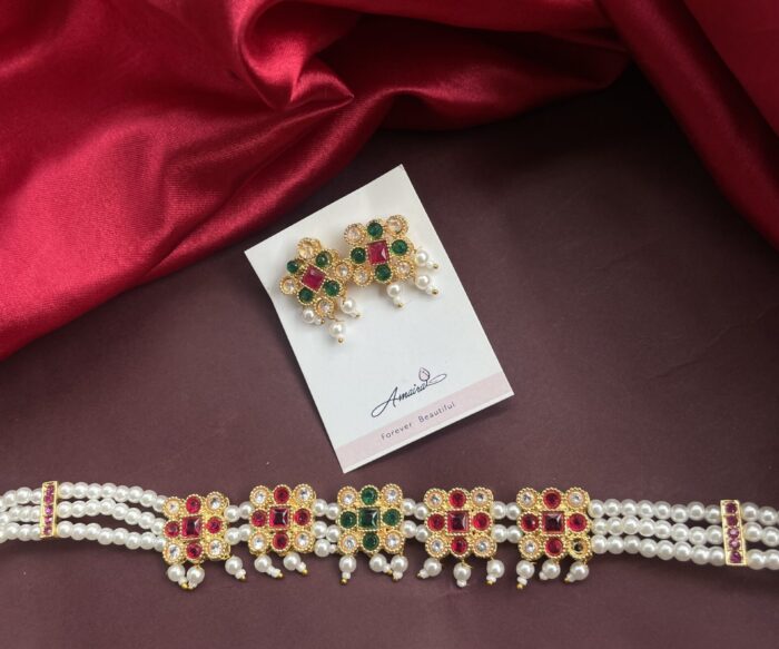 Chavras Multicolored Chinchpethi AJP2024-88