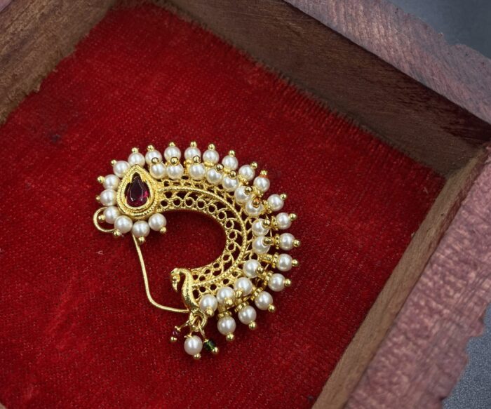 Traditional Nath AJP2023-236
